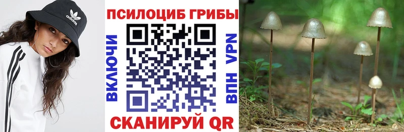 Псилоцибиновые грибы мухоморы Апрелевка